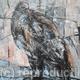 Raaf | The Raven